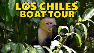 Los Chiles Boat Tour | Costa Rica