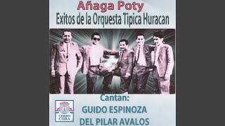 Preview de Añaga Poty