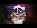 Chamada Do Filme Beethoven Aventura De Natal Inédito No Cine Record Especial 2014