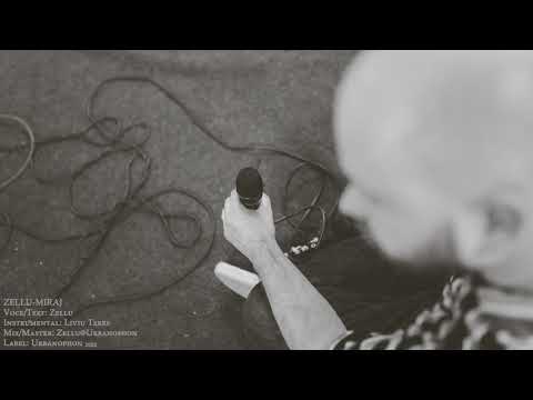 Zellu - Miraj (Instr. Liviu Teres)