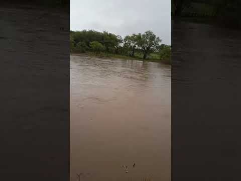 Enchente no Rio Pajeú passando na matolotagem FLORES PE