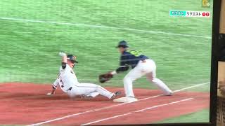 ジャンパイア発動!歴史的大誤審にリクエストを要求するも覆らず 巨人vsヤクルト 2019.8.9