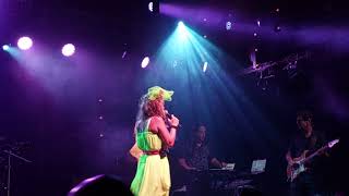 Infected mushroom live- blink