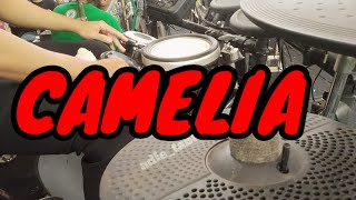 Download lagu CAMELIA | COVER GENDANG | FAMILYS GROUP mp3