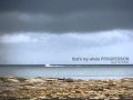 Markus Schulz - Cause you know Is this the end? (Lyrics)