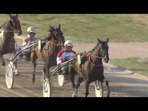 Renntag 19.08.2018 - 9. Kreste-Rennen / 1. Abt.