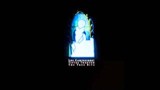 Los Campesinos! - Tiptoe Through The True Bits