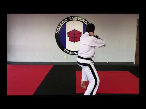 Air Curriculum - ITF Taekwondo - Combo (Rear)