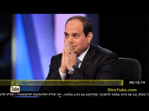 DireTube News Egypt open to River Nile negotiations – Official