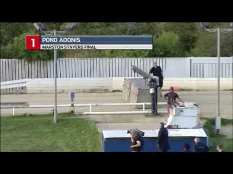 2019 MARSTONS STAYERS FINAL - T1 POND ADONIS