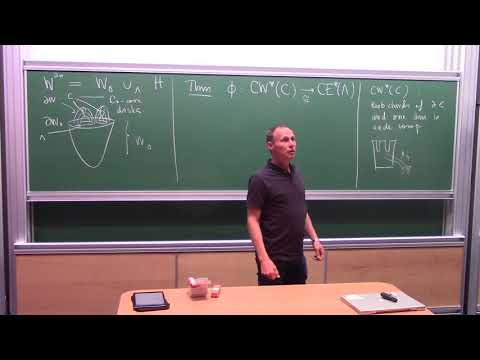 T.Ekholm, IHES, July 5, 2018 - "Chekanov-Eliashberg dg-algebras"