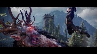 Видео The Witcher 3 Wild Hunt