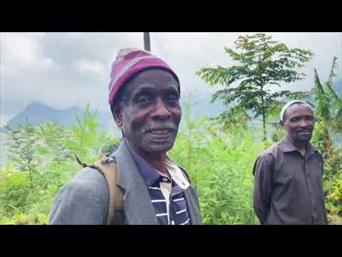 APOPO HeroTREEs - a Climate-Smart Solution