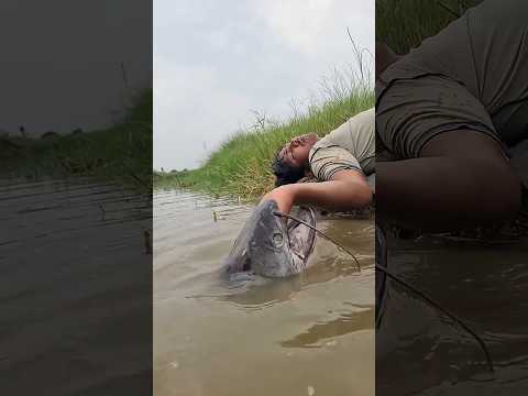 Amazing Fishing Technique In River Big Monster Fish Video#fish#video