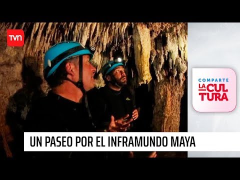 Fósiles de miles de años: Un paseo por el inframundo maya | Delfín del mundo
