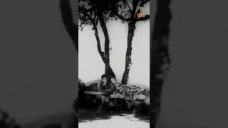 Download lagu Mujhe Kitna Pyar Hai💗#ytshorts #oldhindisongs #latamangeshkar #mohammedrafi #shammikapoor #malasinha mp3 Download lagu Mujhe Kitna Pyar Hai💗#ytshorts #oldhindisongs #latamangeshkar #mohammedrafi #shammikapoor #malasinha mp3