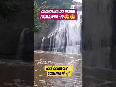 CACHOEIRA DO URUBU primavera pe #lugaresincríveis #cachoeirasdobrasil #vistaincrivel #shortsviral