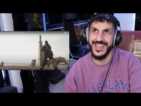 RAHIM reagiert auf Kwam.E - Der Norden (prod. by Lotuseffekt)