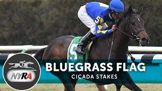 Bluegrass Flag - 2017 Cicada Stakes