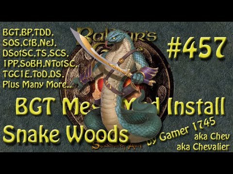Let's Play Baldur's Gate Trilogy Mega Mod Part 457  Snake Woods