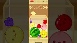 【スイカゲーム🍉角スイから惜しいとこまで来た😗】まだまだかもしれないけど😗
