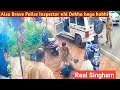 Real Singham ‍ ️ Brave Police Officer Subinspector Arunkumar Keraladgp Kerala Viral
