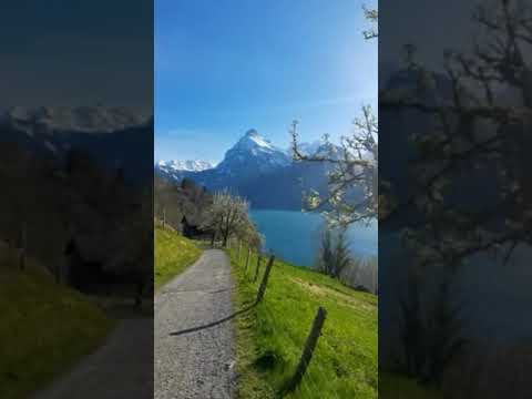 Nature beauty 🌱🌺🌱