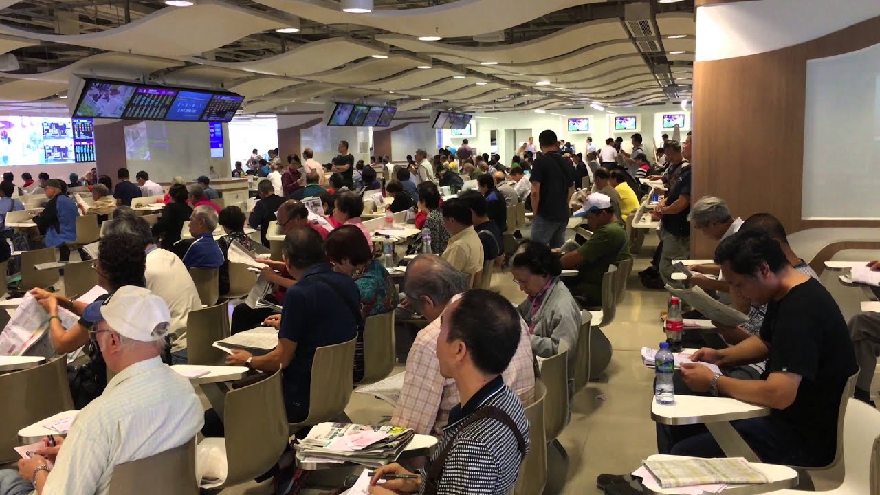 Sha Tin Racecourse 沙田馬場 Hong Kong