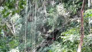 preview picture of video 'MIRADOR ADVENTURES: Semuc Champey (Guatemala)'