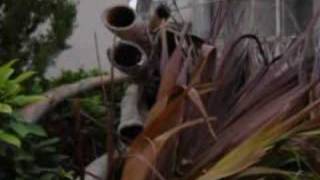 Ladysmith black Mambazo