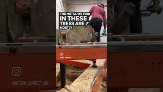 How to mill lumber out of urban trees