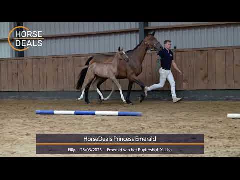 HorseDeals Princess Emerald