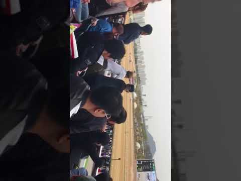 Horse race in south korea