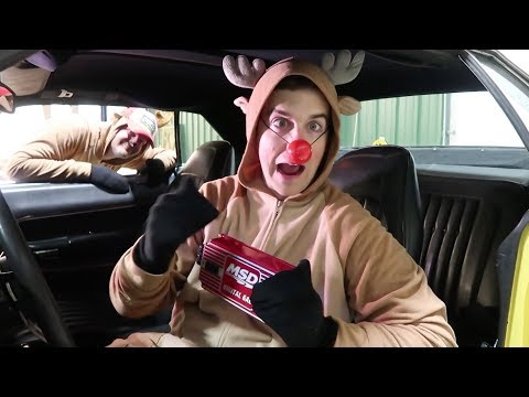 Red vs Black-Which Reindeer Wins???