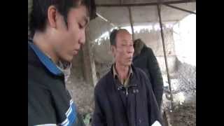 preview picture of video 'Cách nuôi giun quế -Bác Khoái Đông Anh Hà Nội'