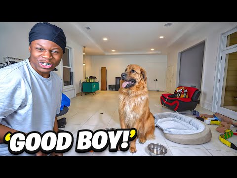 ¡Tengo un NUEVO PERRO!