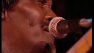 32- Albert Collins - Travellin&#39; South -  Live At Sevilla 1991
