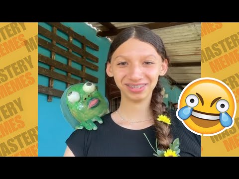 TENTE NÃO RIR: OS MELHORES MEMES DA INTERNET