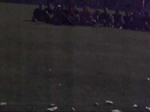 VFL Halle 96 Aufstieg 2009! OBERLIGA WIR KOMMEN.........