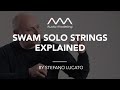 Video 1: SWAM Solo Strings v.3 Explained