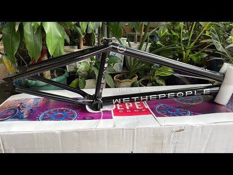 we the people network frame dan kruk frame wtp 20.5