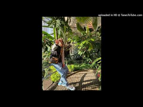 [FREE] LUIS x t-low Type Beat - "lose in flowers" 2022| Prod. By YungJagger