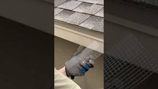 Squirrel deterrent for attic / roof soffit