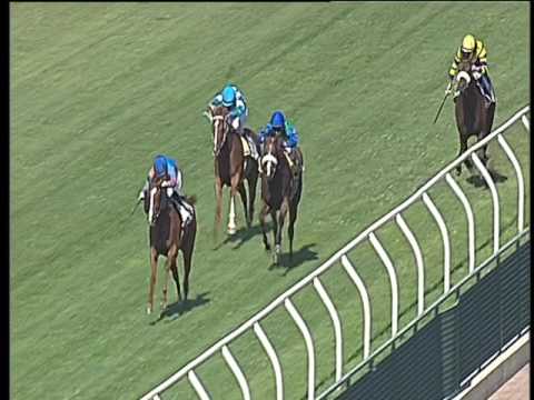 Galoppo 21/06/2017 - 2ª corsa