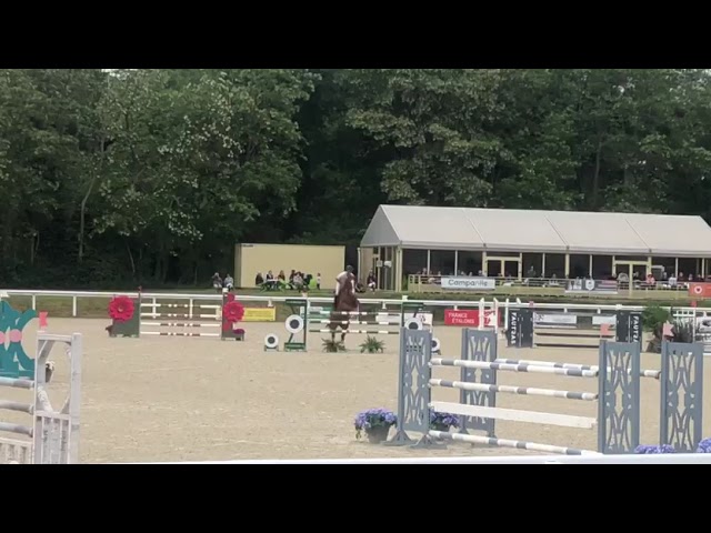 Jument &agrave; vendre pour CSO 