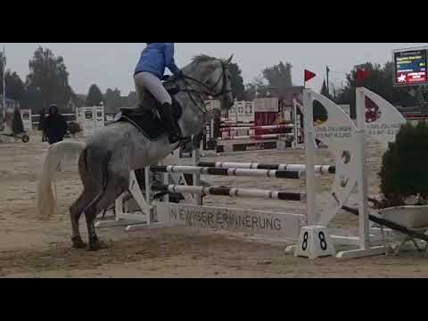 CS Wädenswil Sept 2022