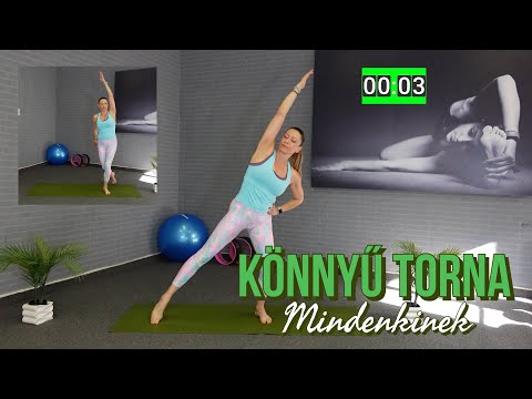 KÖNNYŰ TORNA- teljes test átmozgatása álló gyakorlatokkal! (  nincs ugrálás ☝️😊)