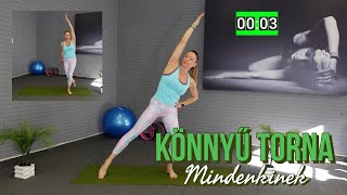 KÖNNYŰ TORNA- teljes test átmozgatása álló gyakorlatokkal! (  nincs ugrálás ☝️😊)