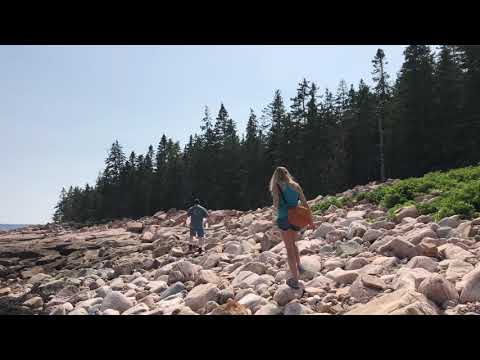 More waves at Acadia from Ship harbor trail. 