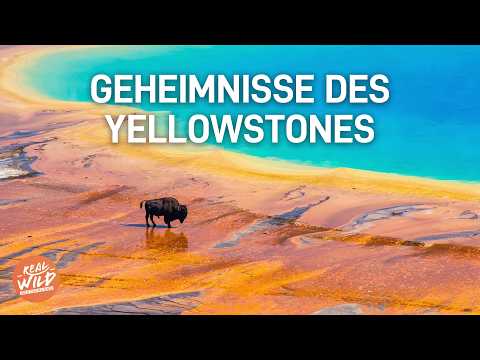 Einzigartige Geheimnisse des Yellowstone Nationalparks
